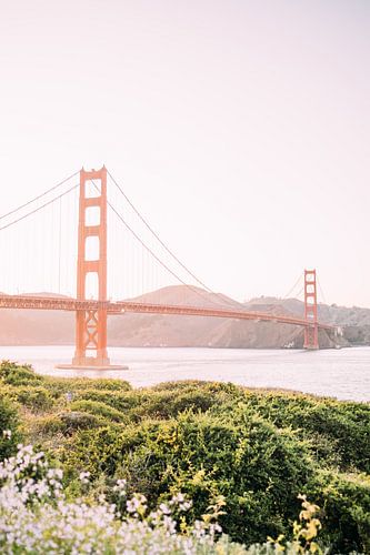 Golden Gate Bridge San Francisco I