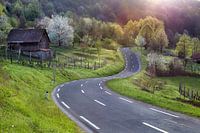 Zip road