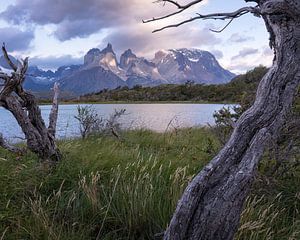 Ein Blick auf die Torres in Patagonien