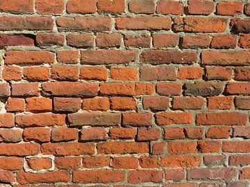 Wall of bricks by Rafael Delaedt