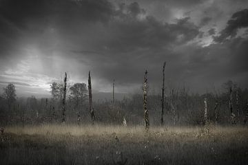 Après l'incendie sur Made by Martin