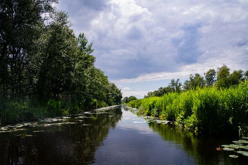 La merveilleuse beauté du Weerribben