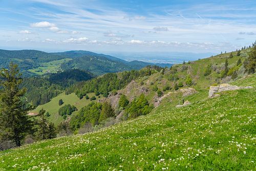 Rondom de Belchen in het Zwarte Woud