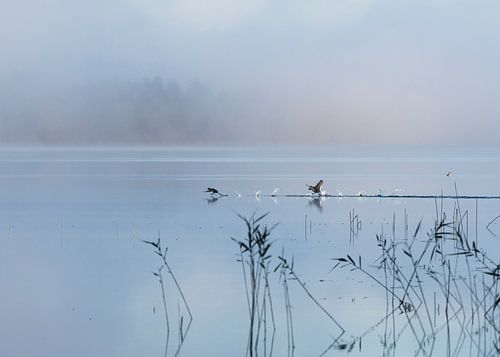 I didn't know you were getting angry