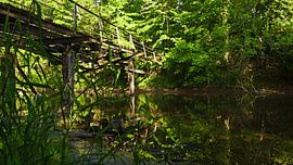 Old footbridge at a mill at the river Saalein Halle Saale in Germany