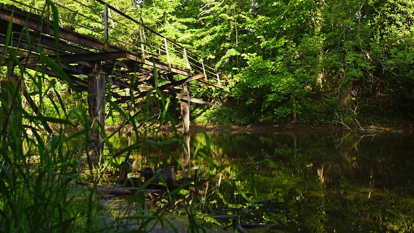 Old footbridge at a mill at the river Saalein Halle Saale in Germany by Babetts Bildergalerie