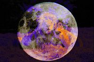 Löwen Liebe  über dem Mond - DigiArt von Barbara Fraatz Miniaturansicht