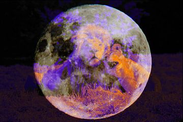 Löwen Liebe  über dem Mond - DigiArt