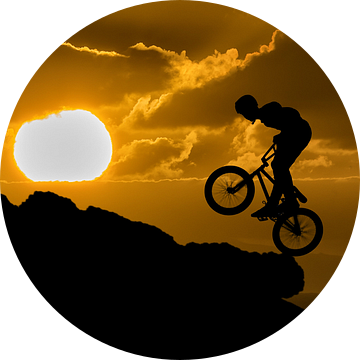Mountainbiker silhouette van Tejo Coen
