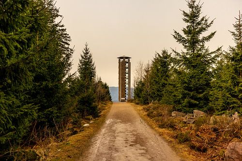 Op verkenning in het mooie Zwarte Woud bij Oppenau