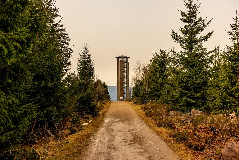 Op verkenning in het mooie Zwarte Woud bij Oppenau van Oliver Hlavaty