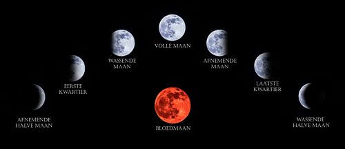 The Moon and Blood Moon