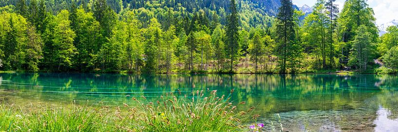 Christlessee by Walter G. Allgöwer