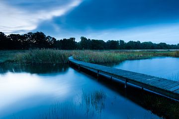 blue morning von margreet van vliet