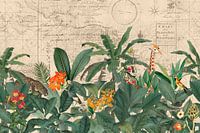 Ontdek de vintage wereld