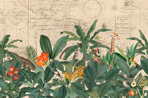 Ontdek de vintage wereld