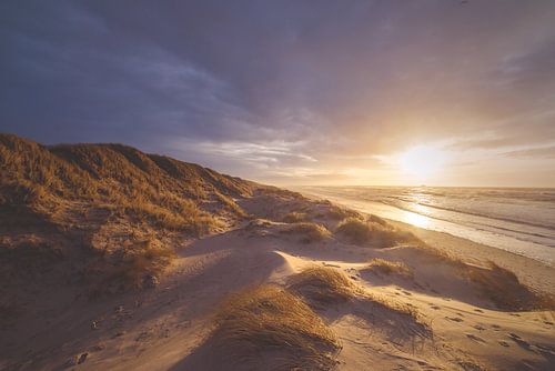 Sunset in a Danish dune landscape