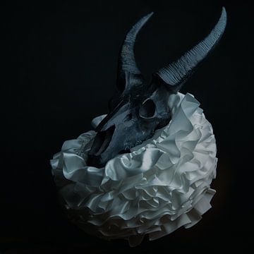 Skull with baroque collar by Marian Korte