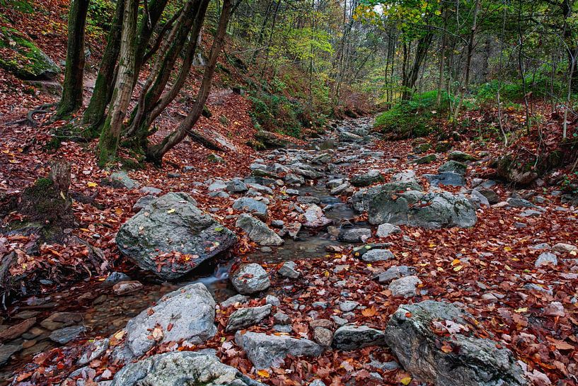 Ninglinspo van Rob Boon