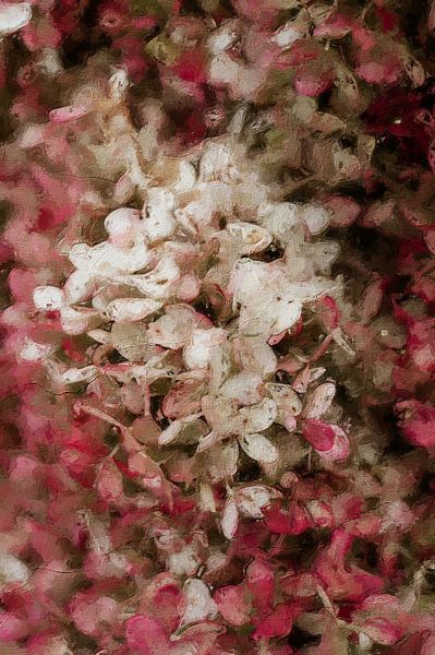 Blumen - Rosa Hortensie in Ölfarbe von Quay Art