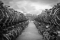 Bicycle, Bicycle, Bicycle....I want  to ride my.... van Mike Bot PhotographS thumbnail