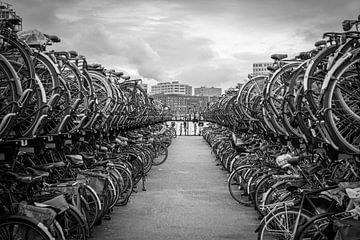 Bicycle, Bicycle, Bicycle....I want to ride my.... by Mike Bot PhotographS