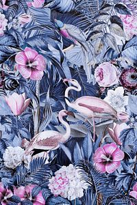Flamingos im Mitternachts Dschungel