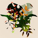 Botanical drawing of different coloured leaves. by Bianca van Dijk thumbnail