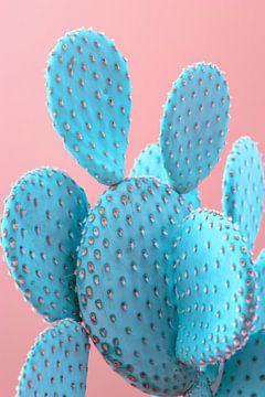 Cactus van Poster Art Shop