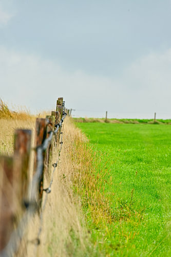Entlang des alten Zauns