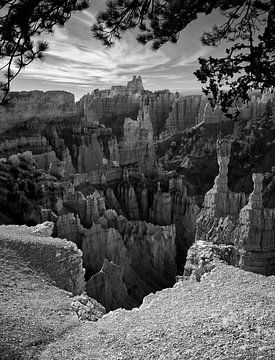 BRYCE 5 von Henk Leijen