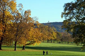 Walk in autumnal park van Yven Dienst