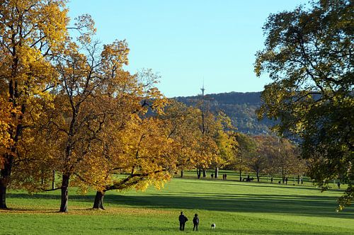 Spaziergang im herbstlichen Park