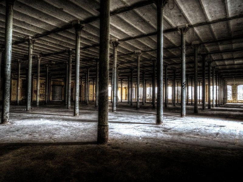 Abandoned factory Germany HDR by Natasja Martijn