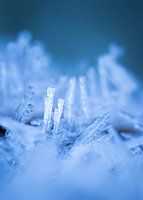 Two ice kings