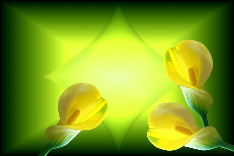 Calla in Gelb von Martina Fornal