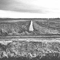 Grafische Landschaft