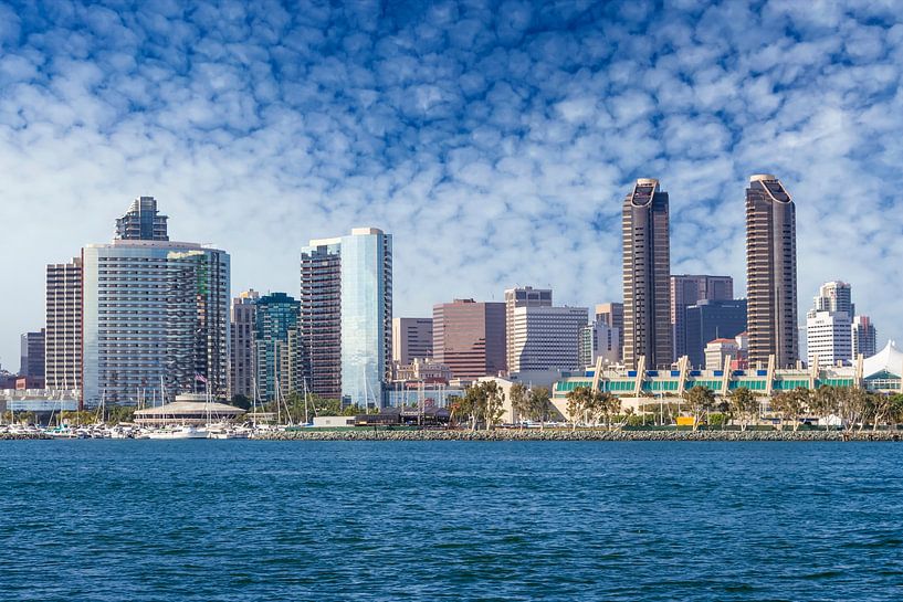 SAN DIEGO Skyline by Melanie Viola