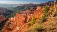 Bryce Canyon National Park van Edwin Mooijaart thumbnail