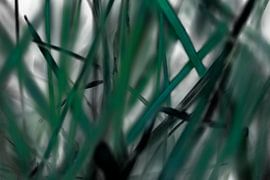 Gras von Marcel Kerdijk