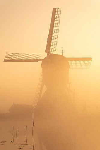 Un moulin hollandais dans la brume au lever du soleil