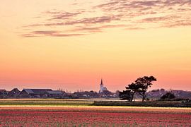 Texel Kirche Den Hoorn