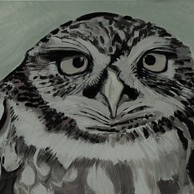 Screech owl by Liliane Dumont