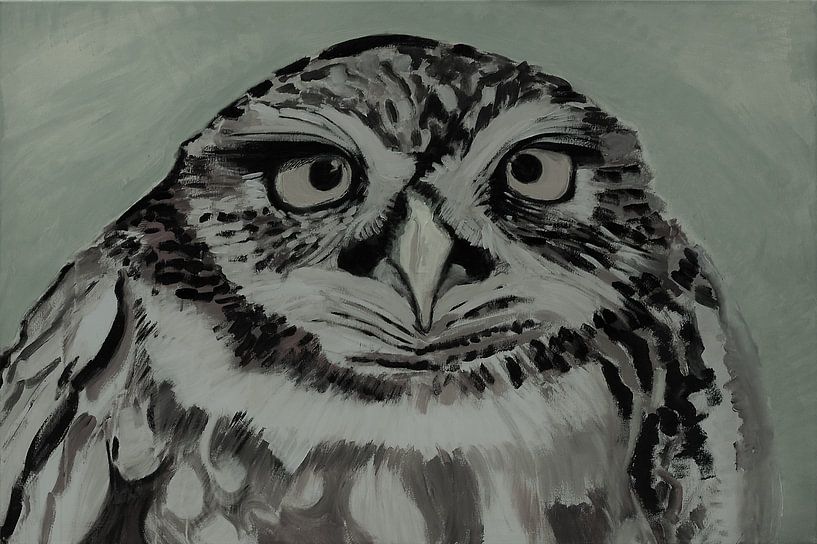Screech owl by Liliane Dumont