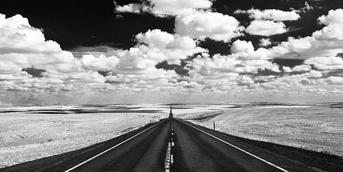 The Palouse in Black and White, Washington State