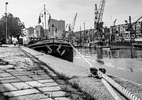 Leuvehaven, Harbour at Rotterdam, The Netherlands