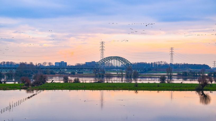 High water Rhine with Railway bridge Oosterbeek in the background by Sharon Hendriks