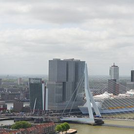 Harmony of the Seas in Rotterdam by Marcel van Duinen