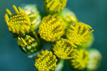 Do not push by QEIMOY