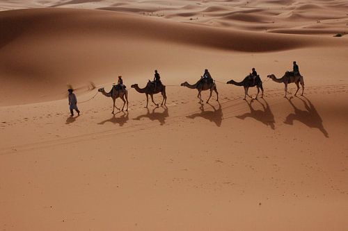 Karavaan woestijn